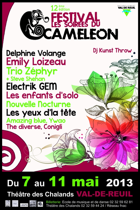 Festival du Caméléon 2013