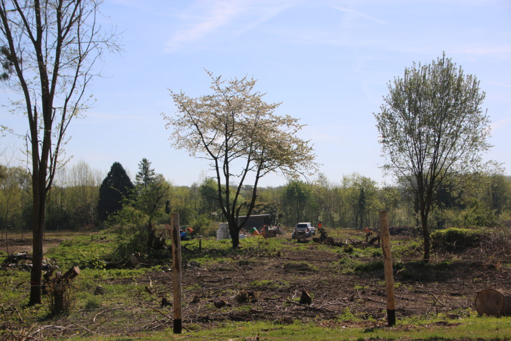 Les 10 hectares de terrain ont été défrichés