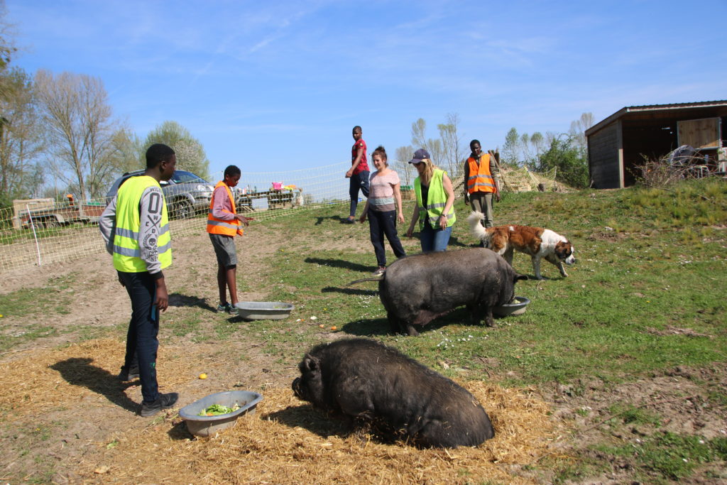 Belle mobilisation autour du chantier participatif