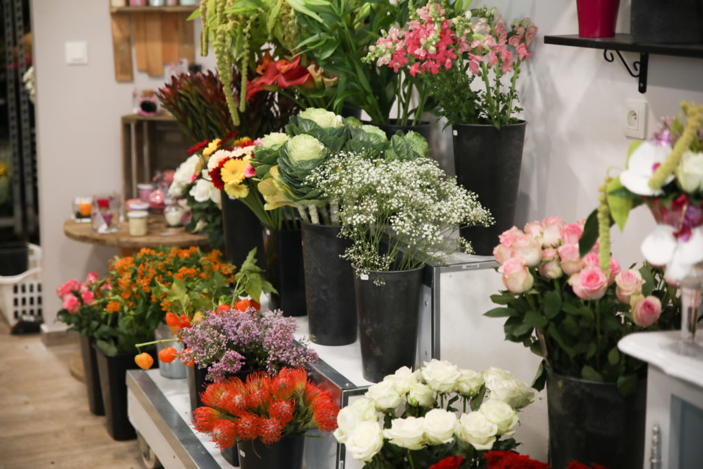 Aux Fleurs des Falaises