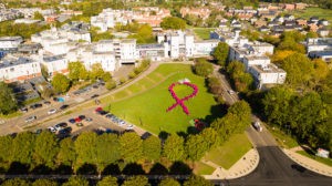 Octobre Rose : toutes mobilisées !