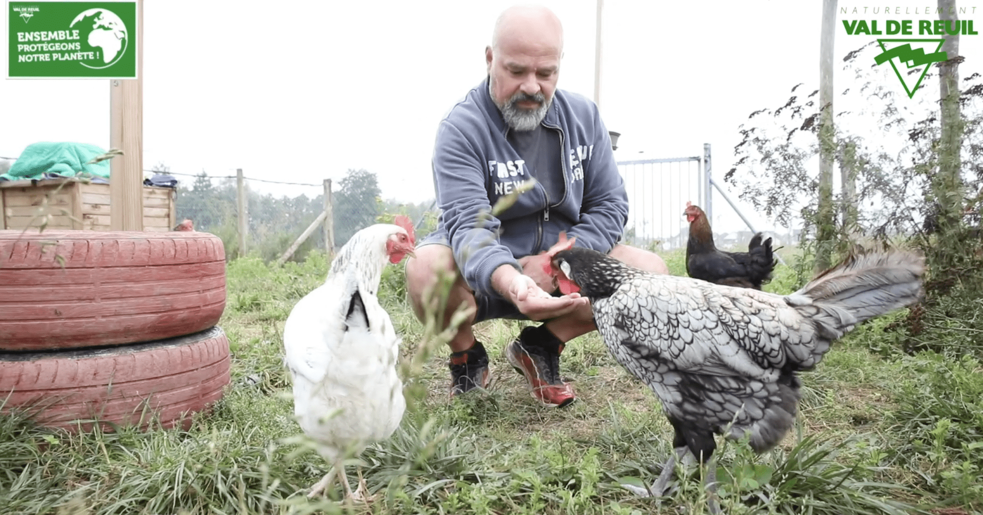 Mois du développement durable : Les poulettes Rolivaloises (vidéo)