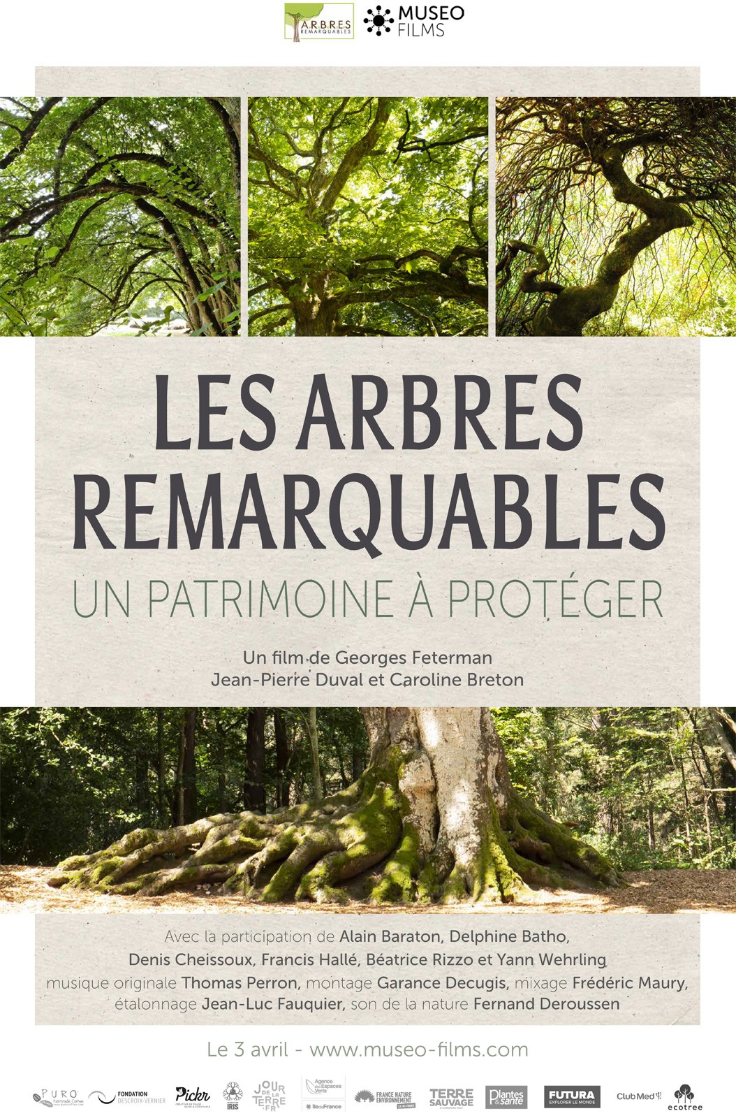 Cinéma Les Arcades : soirée spéciale autour du film-documentaire « Arbres Remarquables », de Georges Feterman, Jean-Pierre Duval & Caroline Breton
