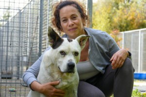 Chenil Municipal - Nathalie Peudevin