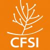 Comité Français pour la Solidarité Internationale (CFSI)