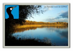 Les-RDV-du-GONm