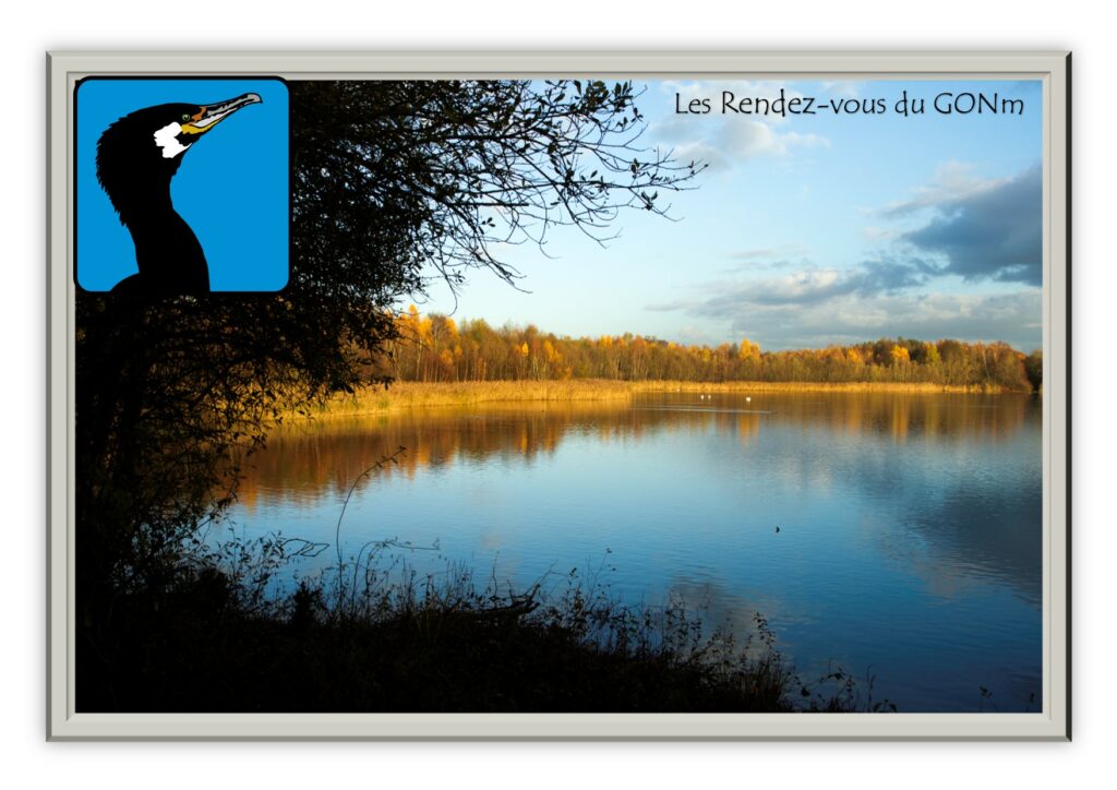 Les-RDV-du-GONm