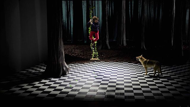 Arsenal - Pierre et le loup