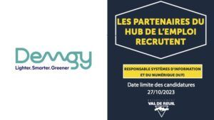 Offre d'emploi : Responsable Systèmes d'information et du numérique (H/F) - DEMGY