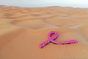 Les 310 participantes au trophée Roses des Sables ont formé un immense ruban rose humain au milieu du désert. 