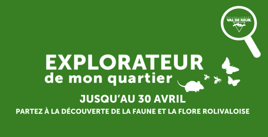 explorateur