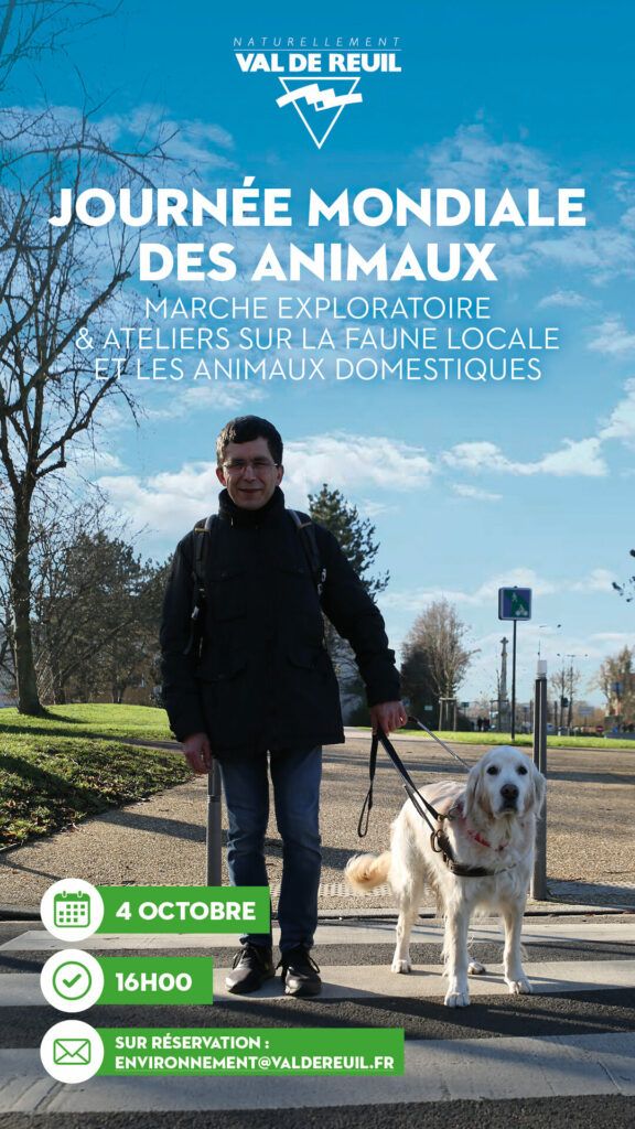 Dans le cadre de la journée mondiale des animaux, la Ville de Val-de-Reuil vous propose de participer à une balade dans la ville, samedi 4 octobre 2025, de 16h à 17h30, pour découvrir comment la Ville s'adapte aux animaux et échanger sur les améliorations à mettre en place.