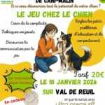 J-QUELQUES JOURS : Prêt(e) à transformer la vie de votre chien ? Il reste encore quelques places pour ma toute première Masterclass sur le jeu !