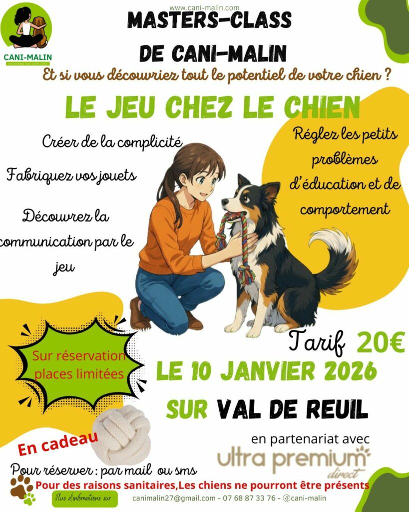 J-QUELQUES JOURS : Prêt(e) à transformer la vie de votre chien ? Il reste encore quelques places pour ma toute première Masterclass sur le jeu !