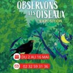 La médiathèque Le Corbusier de Val-de-Reuil vous invite à venir découvrir une exposition interactive autour des oiseaux du 2 ou 16 mai 2026 sur les horaires d'ouverture de l'établissement.