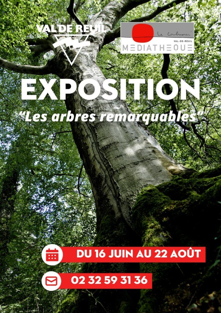 Arbres célèbres, arbres de cœur, en ville ou à la campagne... les arbres sont les êtres vivants essentiels de notre environnement. Venez porter un autre regard sur la nature qui nous entoure à travers l'exposition "Les arbres remarquables", installée prochainement à la médiathèque !