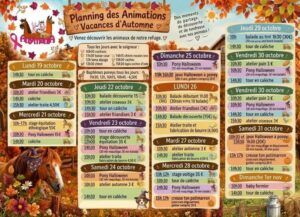 Venez partager des moments de découverte, de tendresse et d’amusement en famille avec les animaux du refuge Anymania pendant les vacances d'automne ! Un programme riche en animations nature, ateliers créatifs et animations spéciales Halloween vous attend.