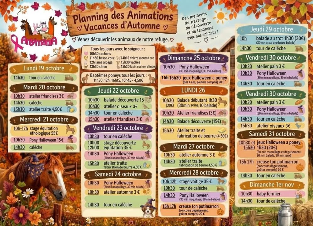 Venez partager des moments de découverte, de tendresse et d’amusement en famille avec les animaux du refuge Anymania pendant les vacances d'automne ! Un programme riche en animations nature, ateliers créatifs et animations spéciales Halloween vous attend.